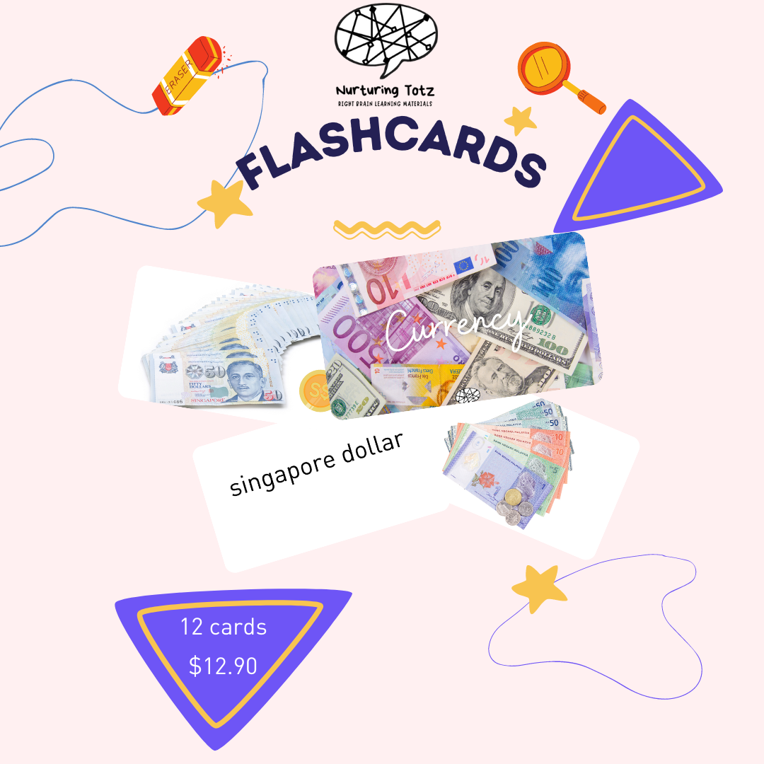 Flash Cards Set (Set C)