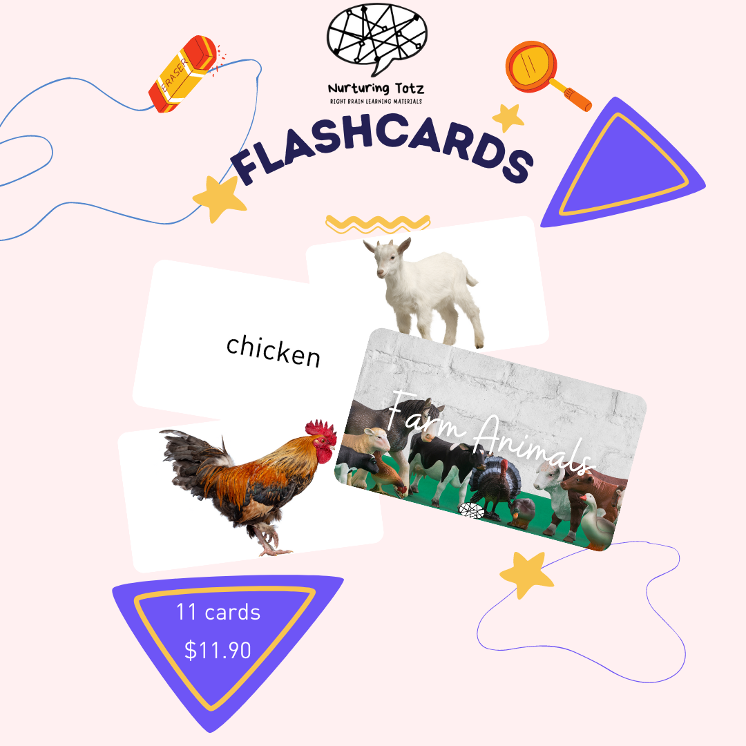 Flash Cards Set (Set A)