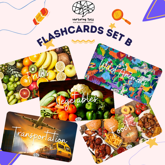Flash Cards Set (Set B)