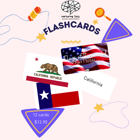 Flags of The World (USA Part 1)